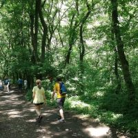 Hiking & Camping