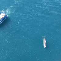 Cruises, Sailing & Water Tours