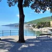 Walking Tours