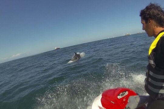 Valentine's Day in Channel Islands