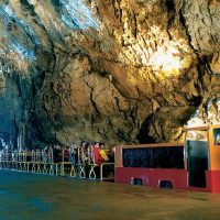 Shore Excursions