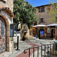 Half-day Tours