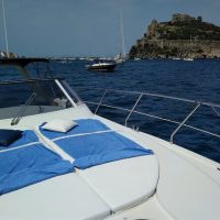 Day Cruises