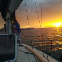 Day Cruises