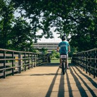 Self-guided Tours & Rentals