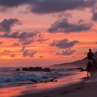 Day Trips & Excursions