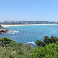 Airport & Ground Transfers