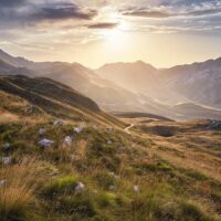 Bus & Minivan Tours