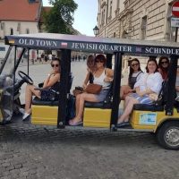 Luxury Tours