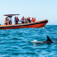 Luxury Tours