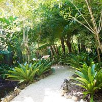 Eco Tours