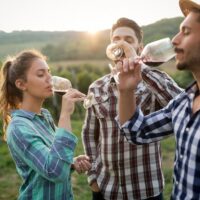 Food, Wine & Nightlife