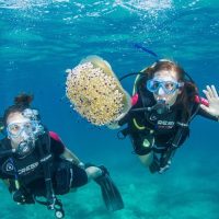 Shore Excursions