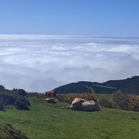 Full-day Tours