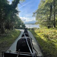 Private & Custom Tours