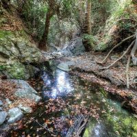 Day Trips & Excursions