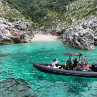 Cruises, Sailing & Water Tours