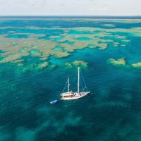 Holiday & Seasonal Tours