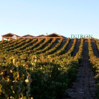 Cultural & Theme Tours