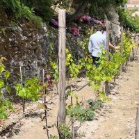 Sustainable Tours