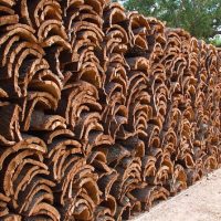 Sustainable Tours