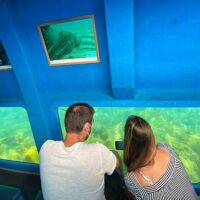 Boat Tours