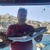 Day Trips & Excursions
