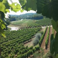 Day Trips & Excursions