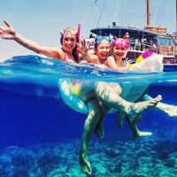 Full-day Tours