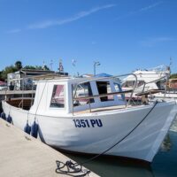 Shore Excursions