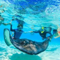Holiday & Seasonal Tours