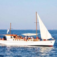 Day Cruises