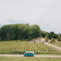 Bus Services