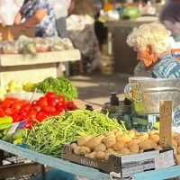 Street Food Tours