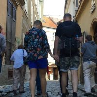 Cultural Tours