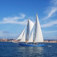Half-day Tours
