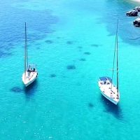 Private & Custom Tours