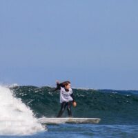 Surfing Lessons