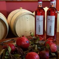 Wine Tasting & Winery Tours