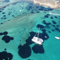 Boat Tours