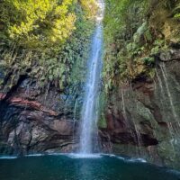Day Trips & Excursions
