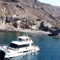 Catamaran Cruises