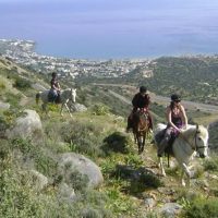 Horseback Riding