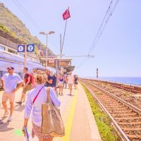 Cruises, Sailing & Water Tours
