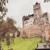 Half-day Tours