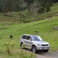 Half-day Tours