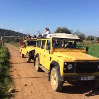 Safaris