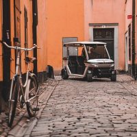 Cultural Tours