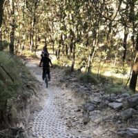 Bike & Mountain Bike Tours