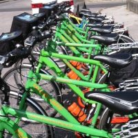 Bike Rentals